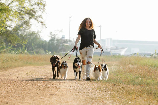 Best Self Defense Keychains for Dog Walkers | Dog Walking Safety