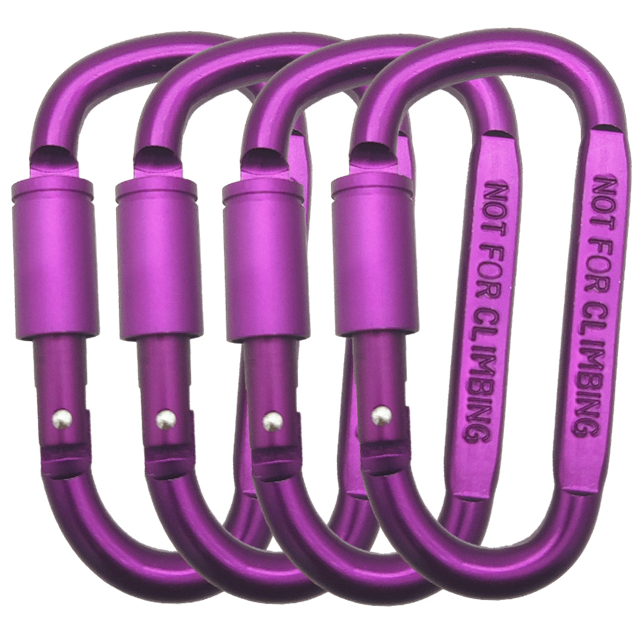 Spring-Loaded Carabiner with Twist-Locking Gate Keychain Holder